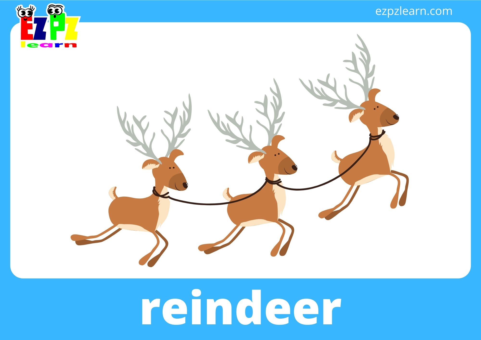 reindeer